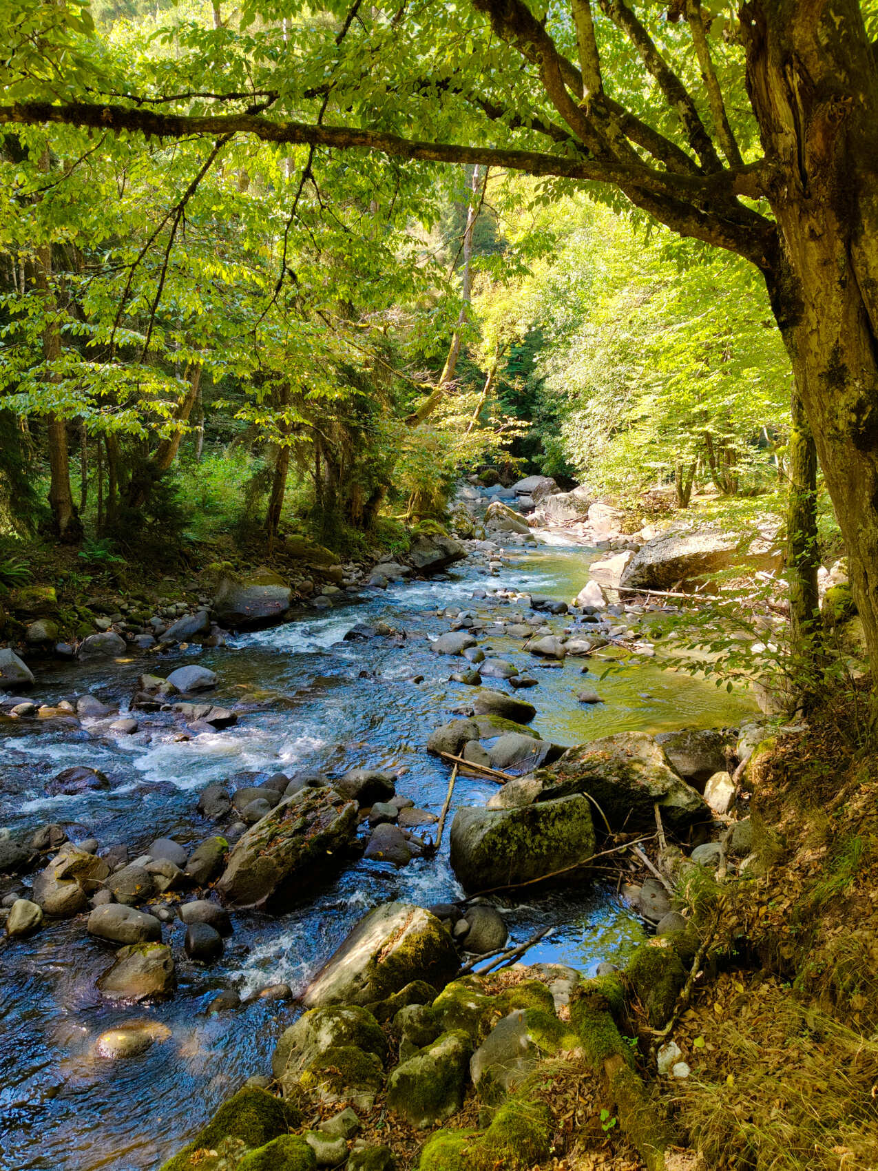 Горы, вино, великая история и люди! Яркая Грузия! (53/108)