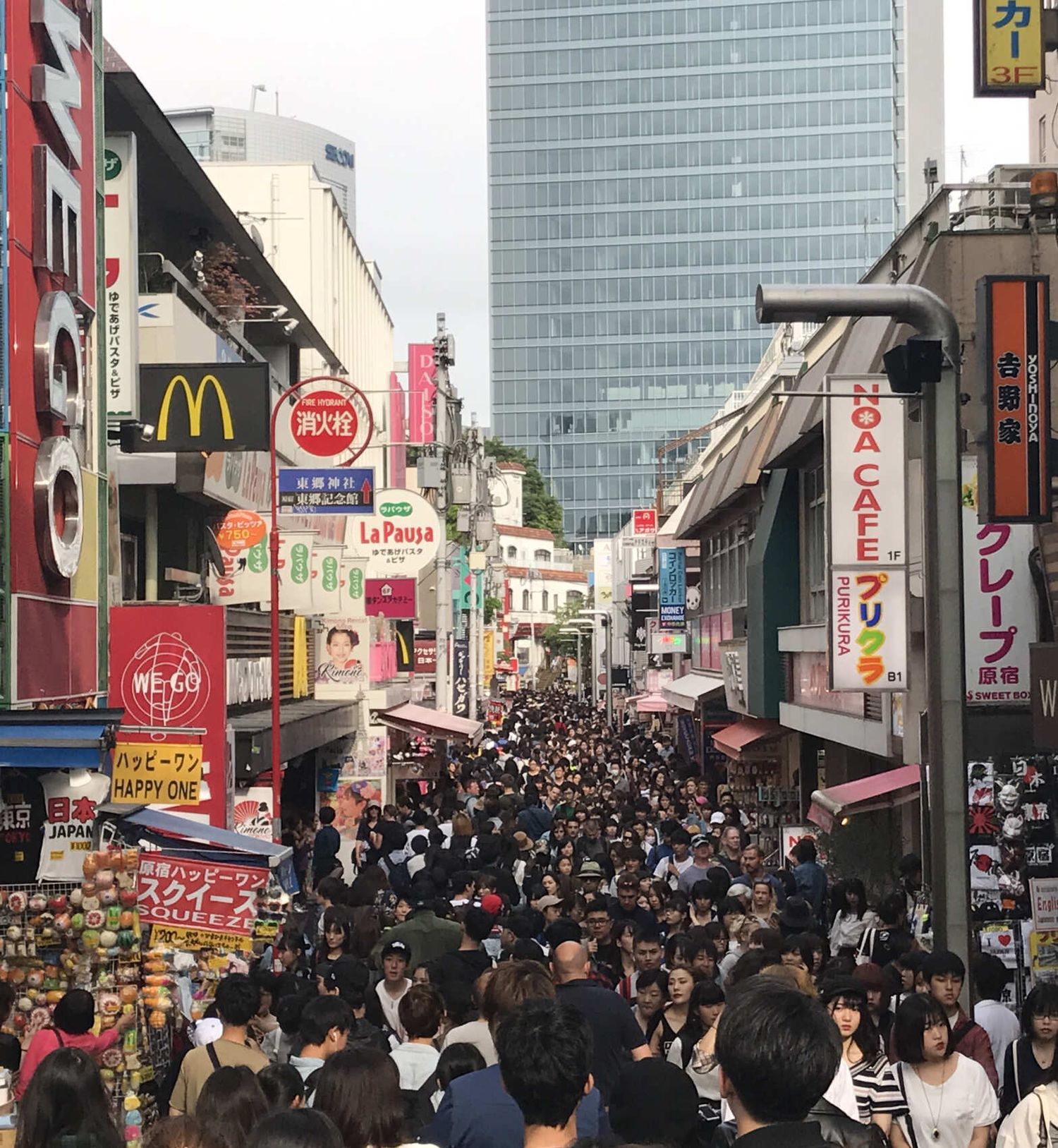 Навстречу гейшам и самураям. Япония на цветение и фестиваль 2026 (8/64)