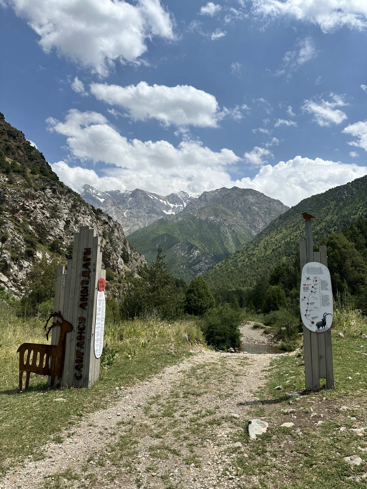 В сердце природы и пикник с видом на вершины (5/8)