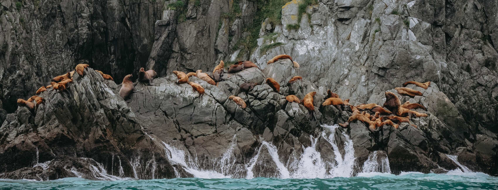 Камчатка для всей семьи питание, проживание, комфорт (20/45)