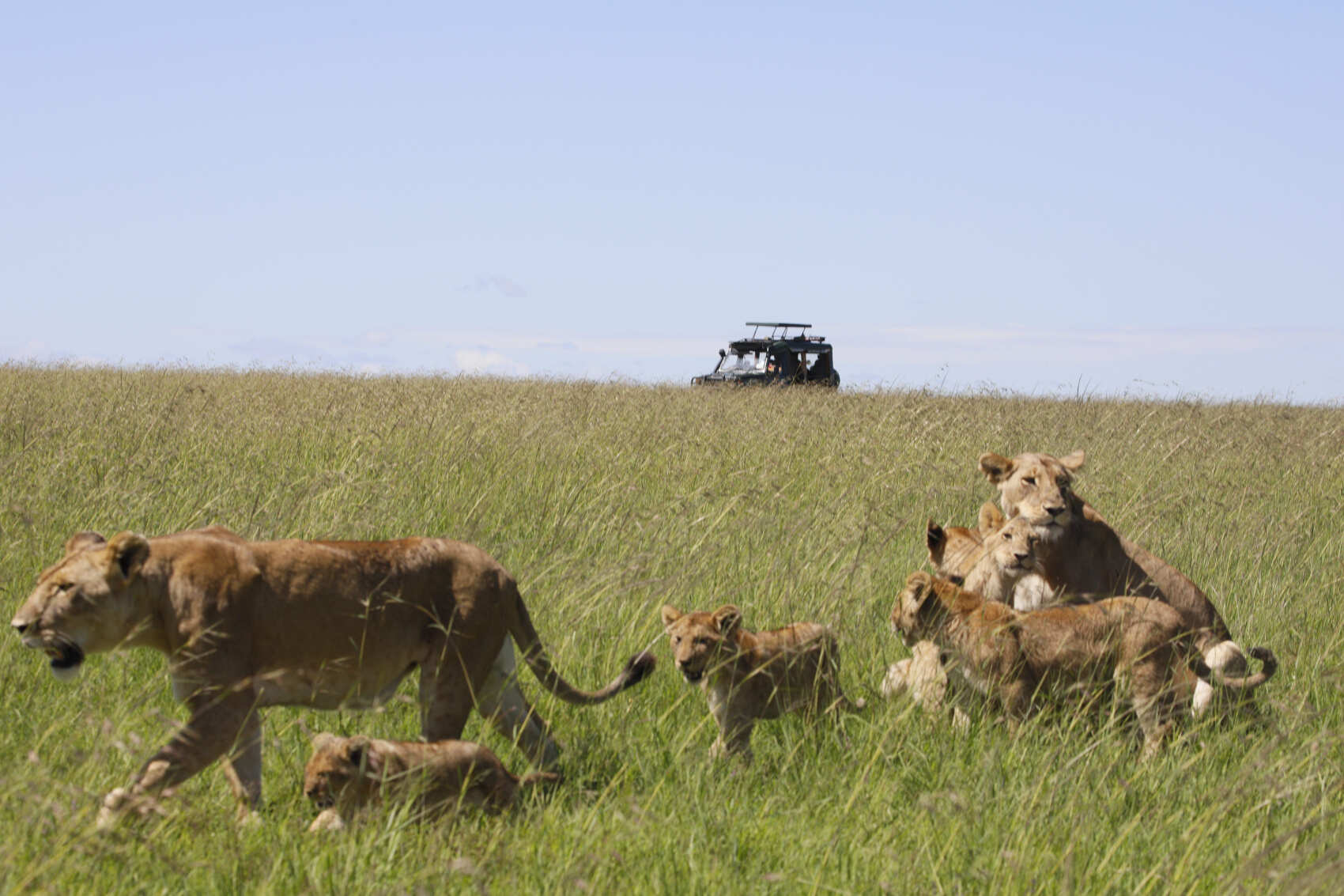 Экспресс-сафари в Кении: 5 дней дикой природы и чудес (5/16)