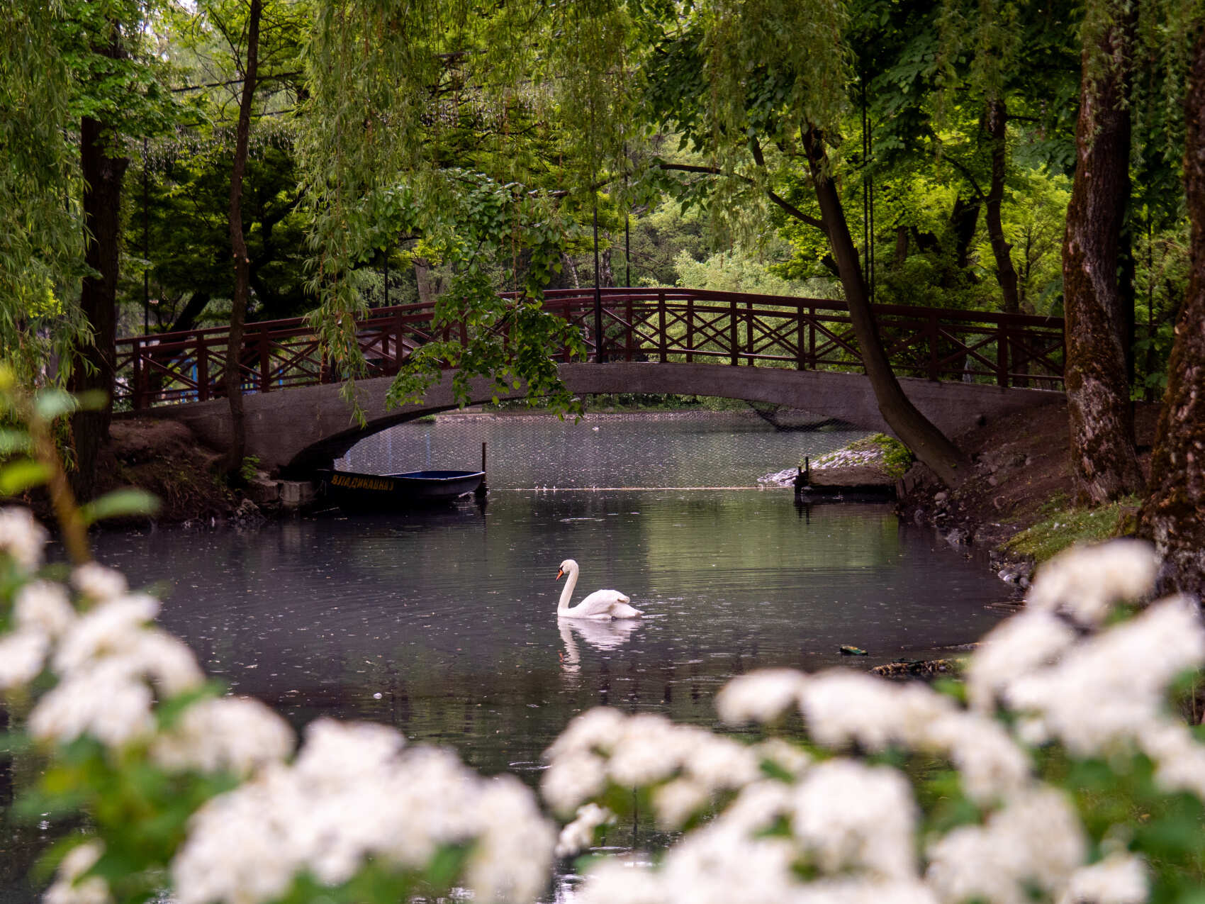 Осетия + Ингушетия с фотографом / Всё включено (76/83)