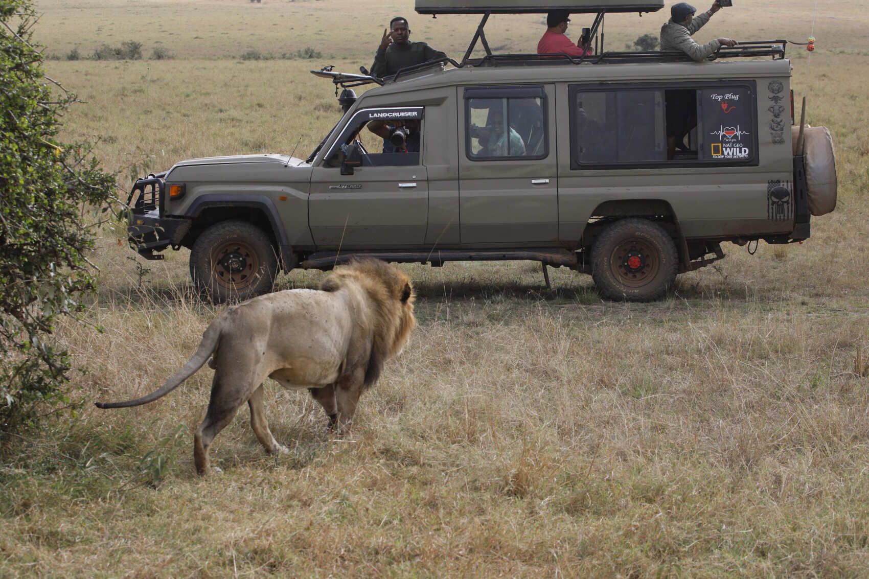 Unforgettable Safari Experiences in Maasai Mara