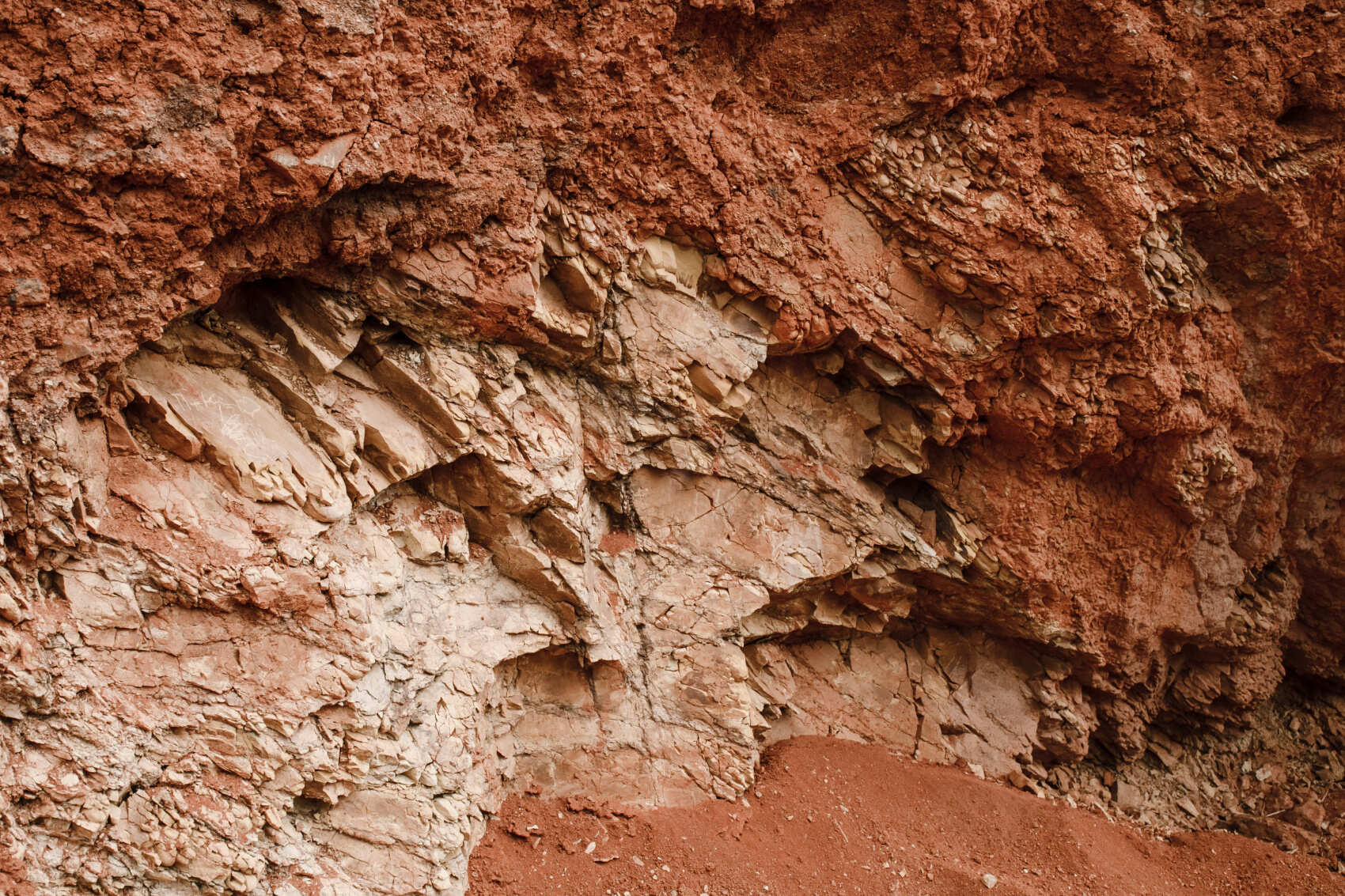  Комфорт-тур по Алтаю: яркое лето 2026 (22/48)