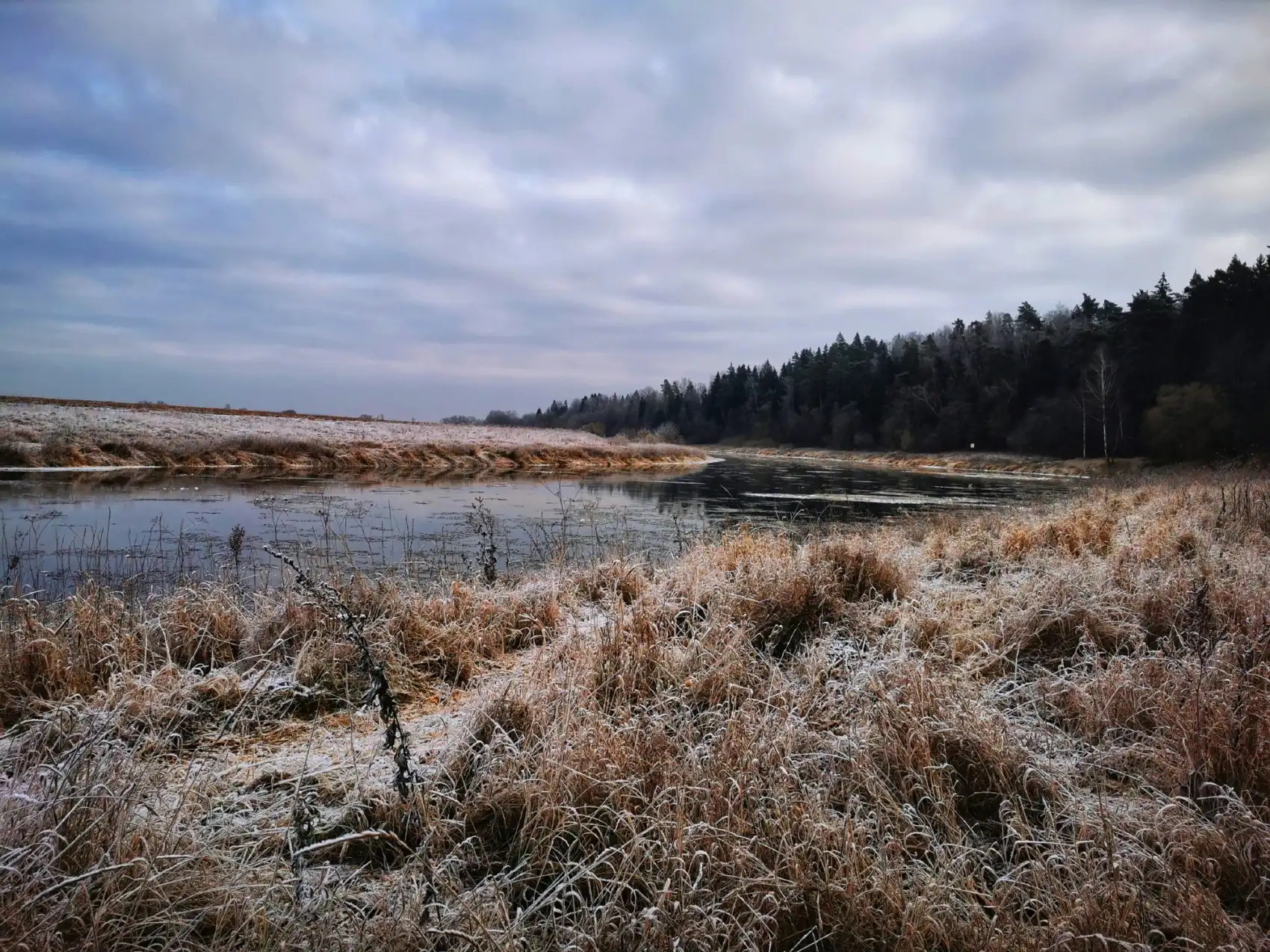 Звенигородский заказник и карьер Сима. Однодневный поход в Подмосковье (16/26)