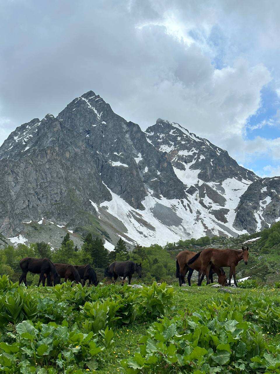 Архыз - величие гор и магия озер (6/36)