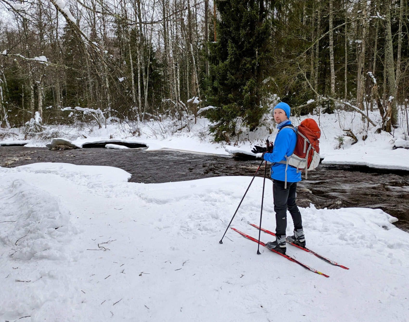 Лыжная прогулка по Линдуловской роще. Однодневный выезд из Петербурга