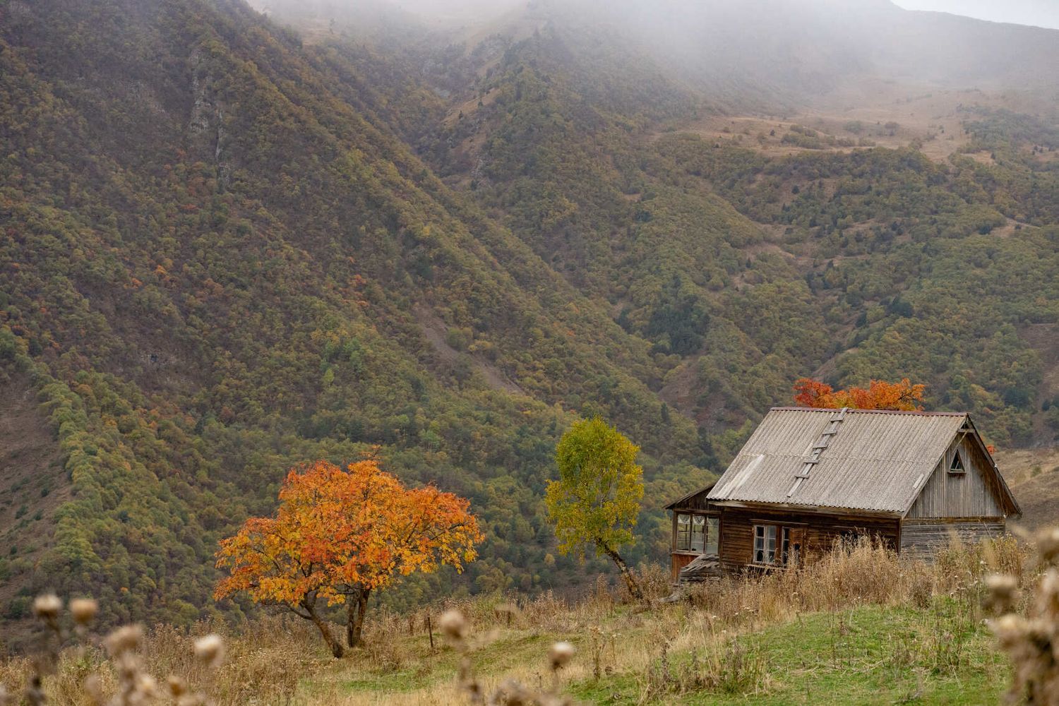 Северная Осетия и Кабардино-Балкария (25/91)