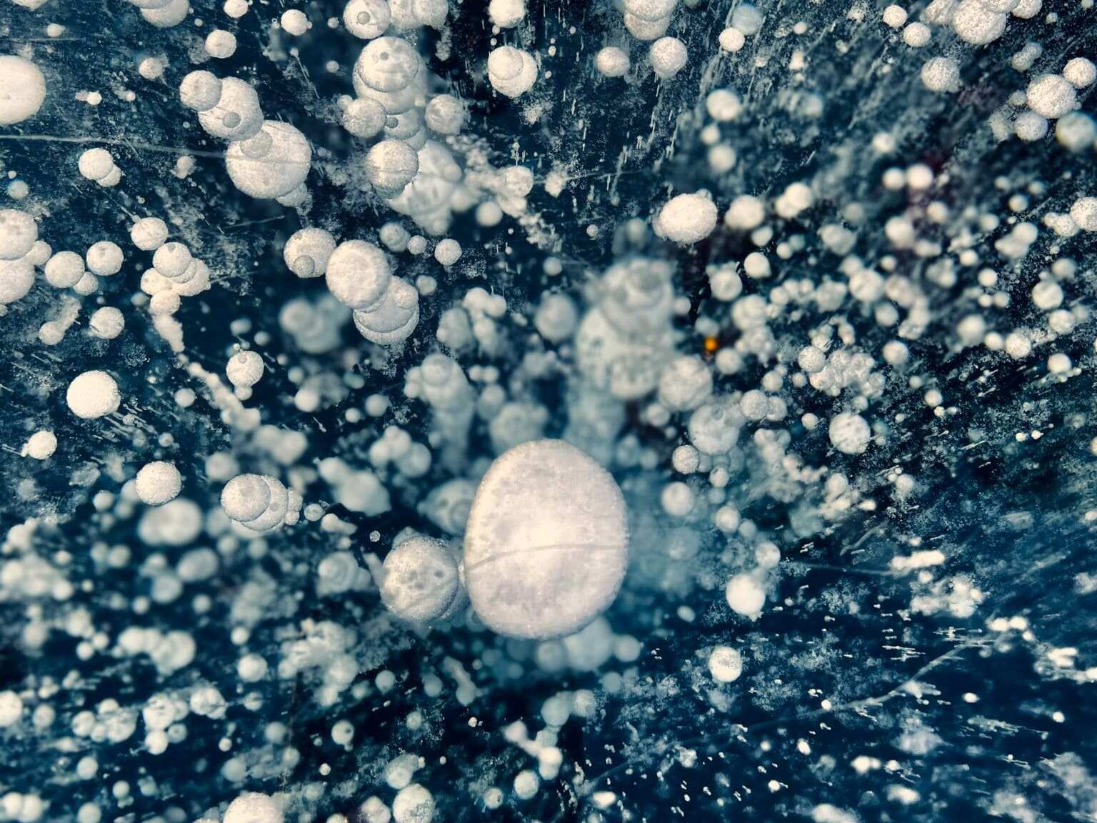 Дыхание Байкала (54/91)