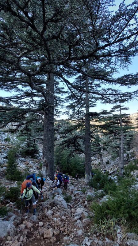 Ликийская тропа через горы к морю Все включено налегке (17/60)