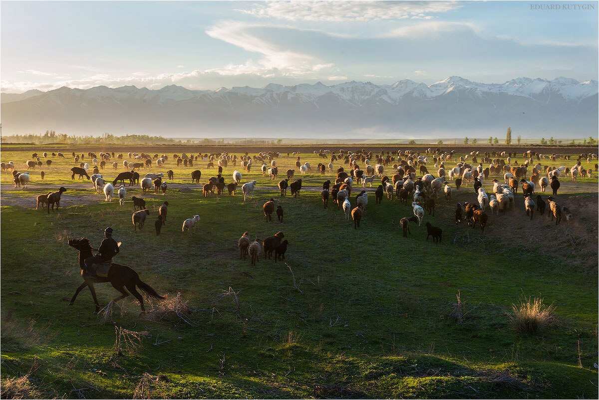 Фототур на Северный Тянь-Шань. Семиречье - жемчужина Казахстана. (2/126)