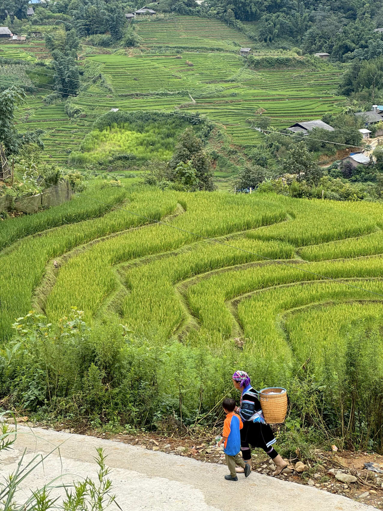 Такой самобытный Вьетнам (11/65)