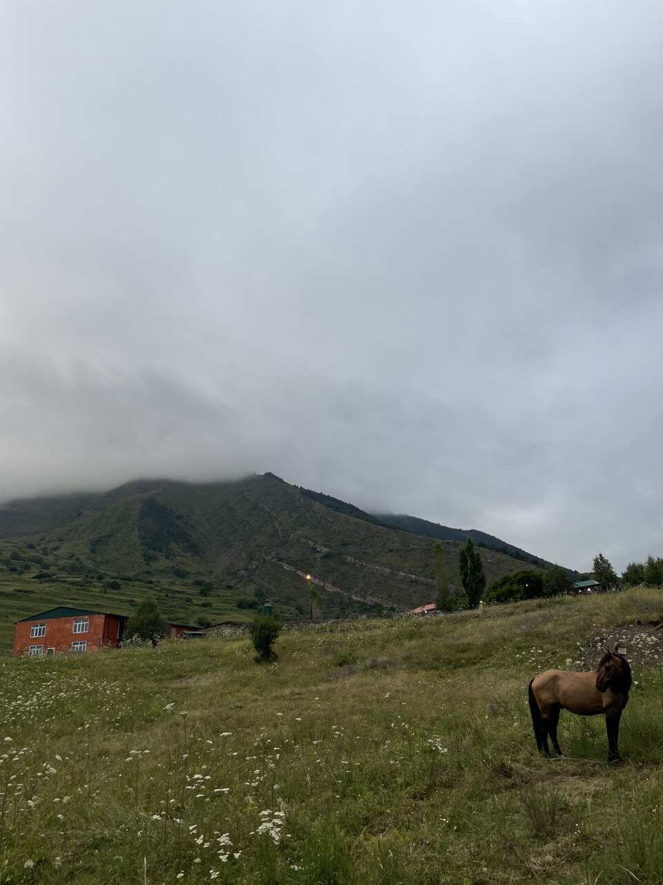 Комфорт-тур Сердце Дагестана. Топ-локации и уникальный маршрут на 5 дней (8/119)