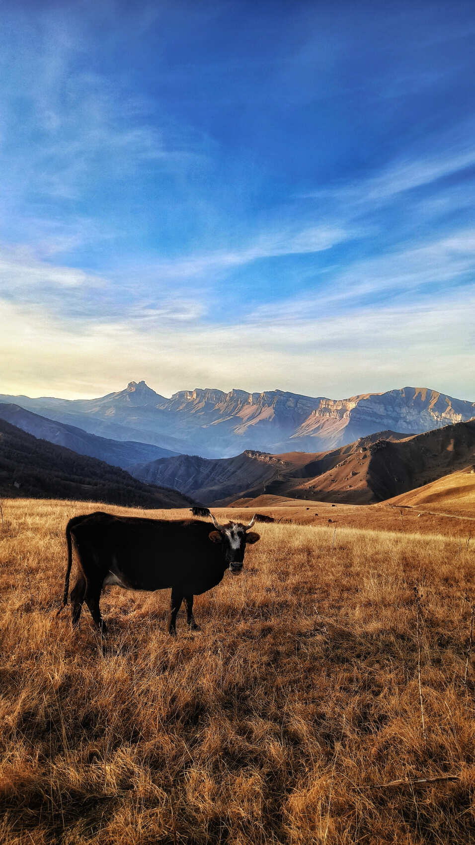 Индивидуальный тур Пять лучших мест Кабардино-Балкарии за один день (20/25)