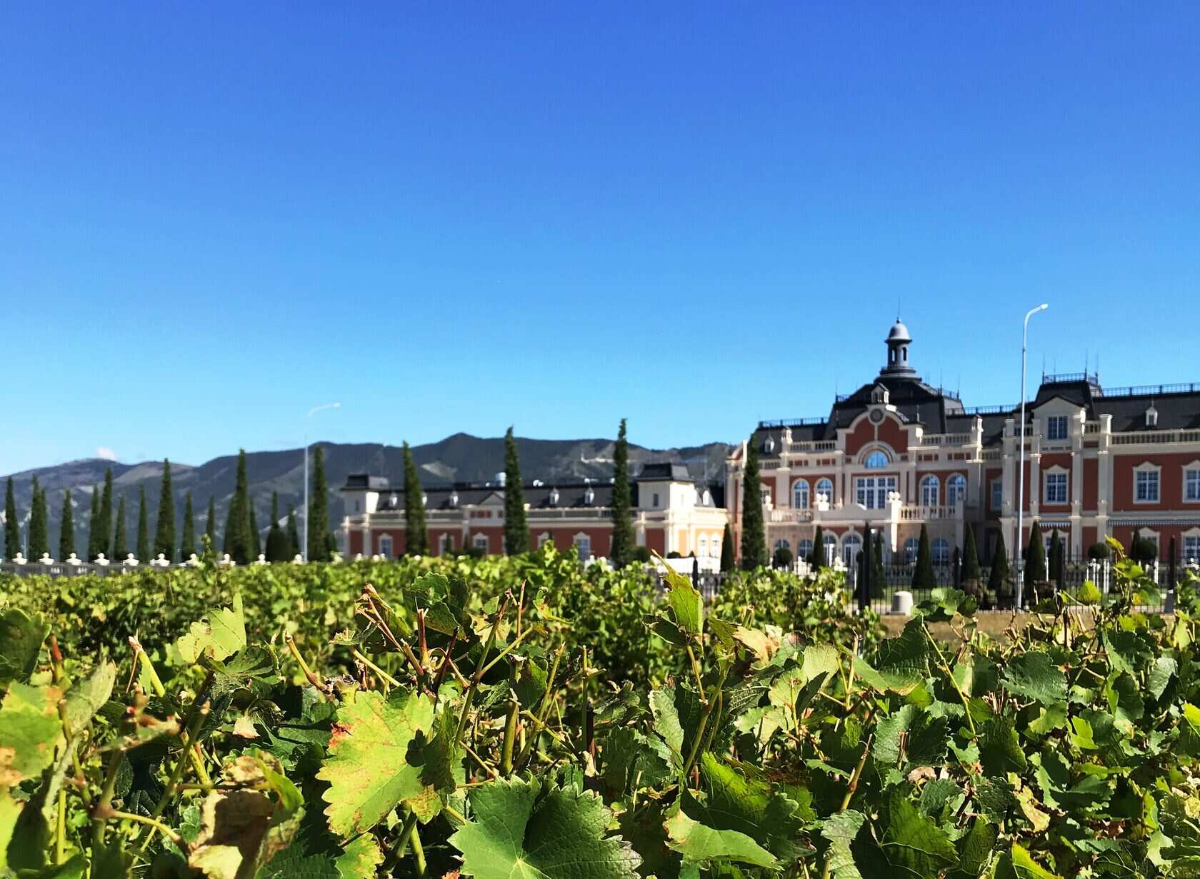 Индивидуальное знакомство с нашим виноделием (2/25)