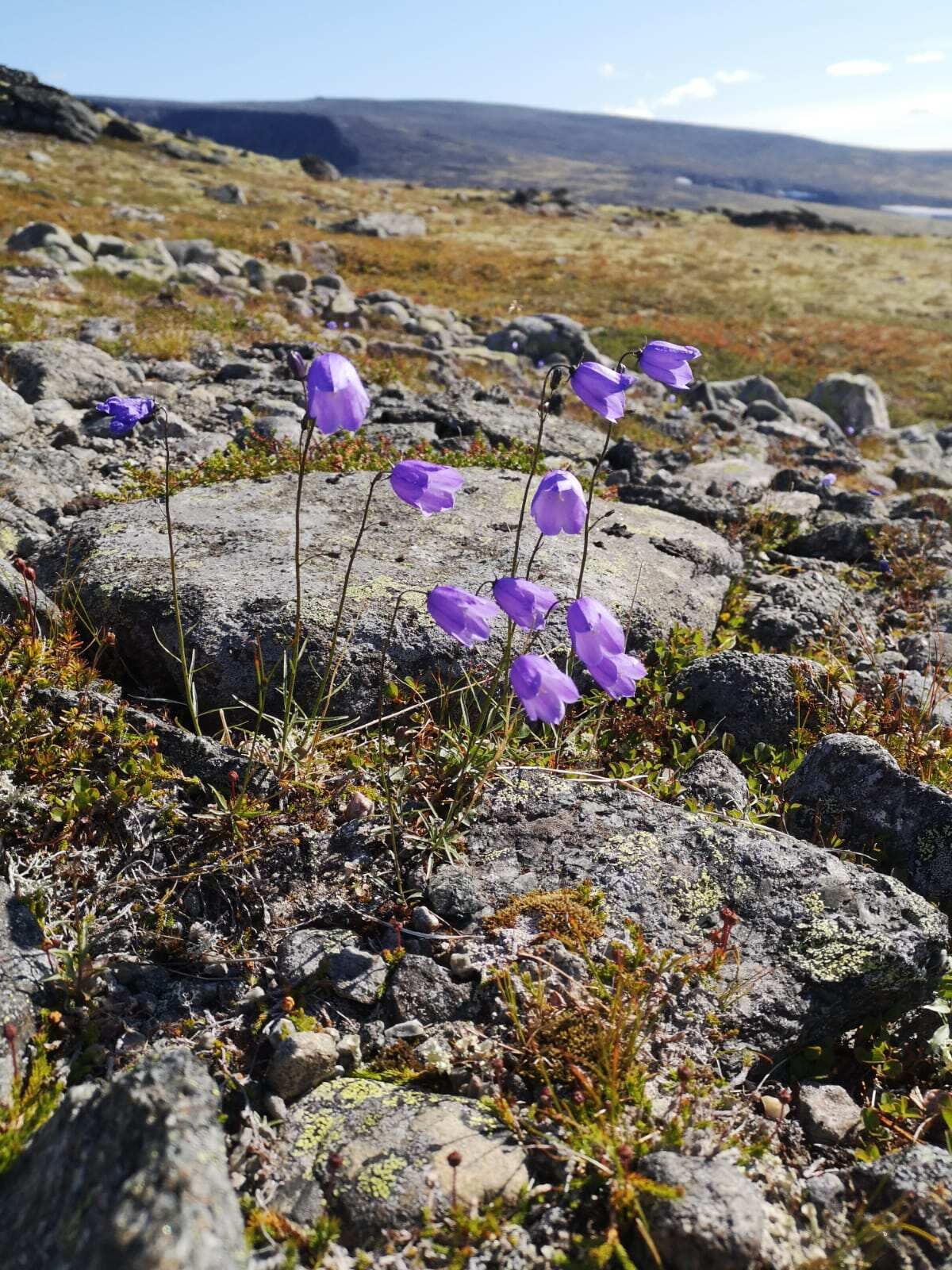 7 Чудес Лапландии - Ловозерские тундры (9/18)