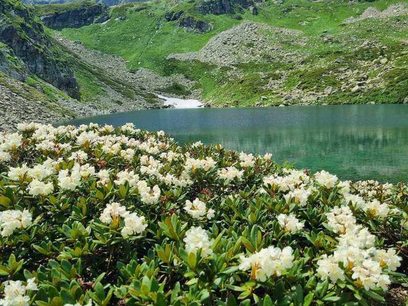 Архыз-Домбай экскурсионный (23/63)