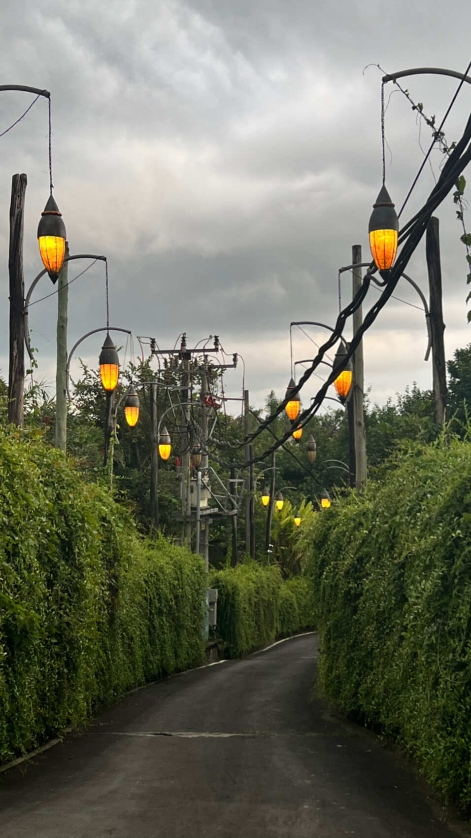 Фото-девичник на Бали за 10 дней (113/167)