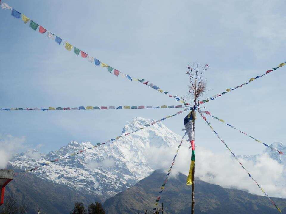 Треккинг и сафари в Непале  (6/37)