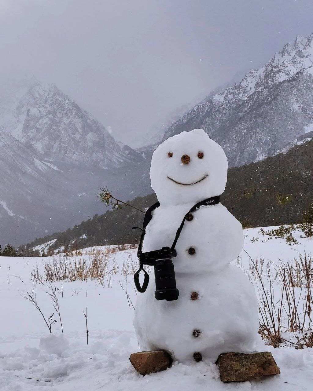 Северная Осетия и Кабардино-Балкария (13/91)