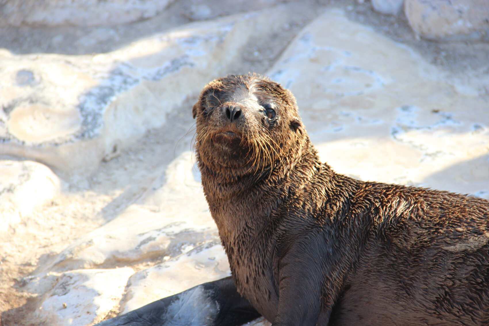 6 дней исследования Гапагосских островов: приключение в стране чудес природы