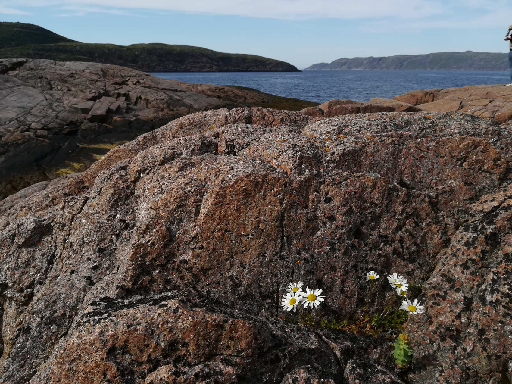 Териберка - на краю света (6/12)