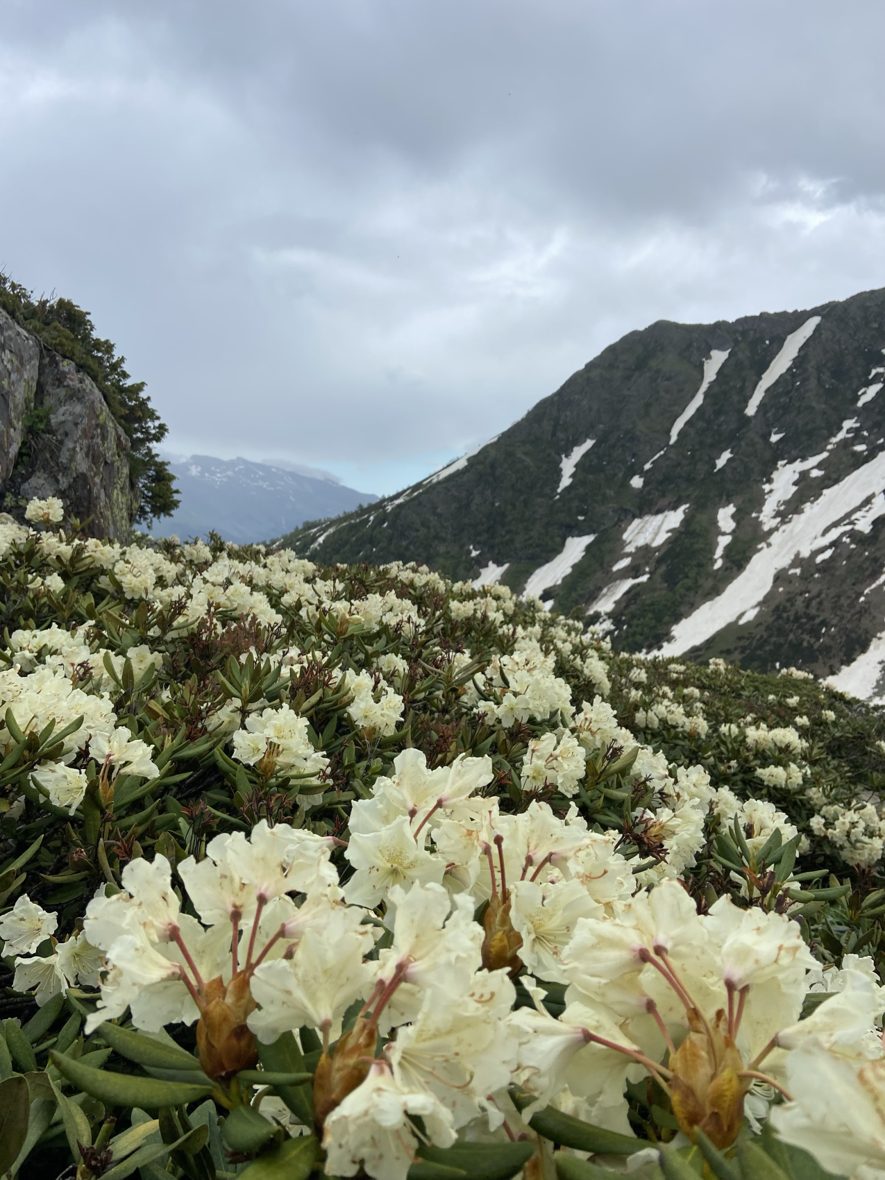 Архыз - величие гор и магия озер (2/36)