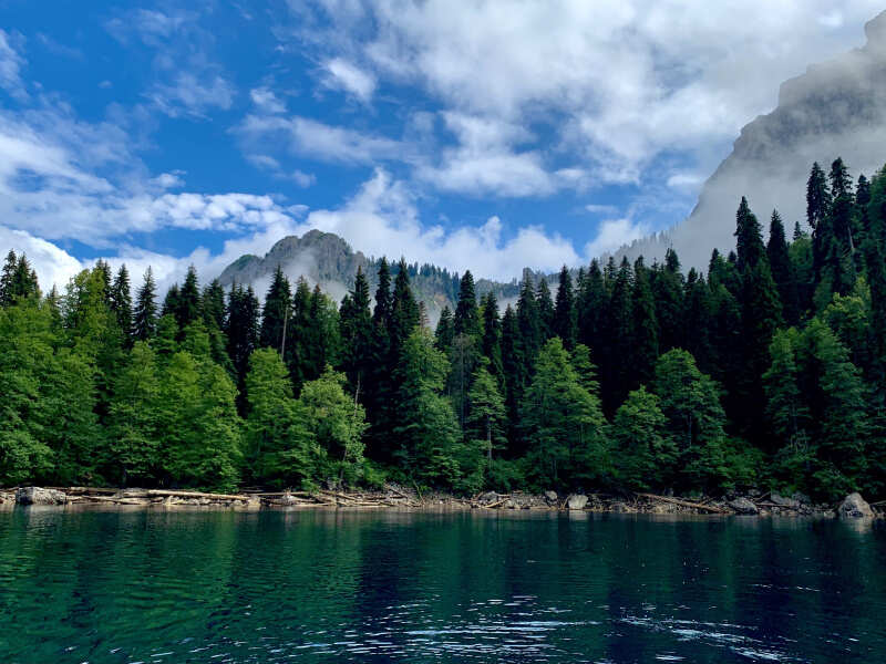 Тур в Абхазию Путешествие в Страну души (29/49)