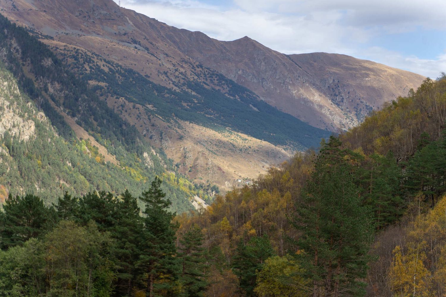 Северная Осетия и Кабардино-Балкария (33/91)