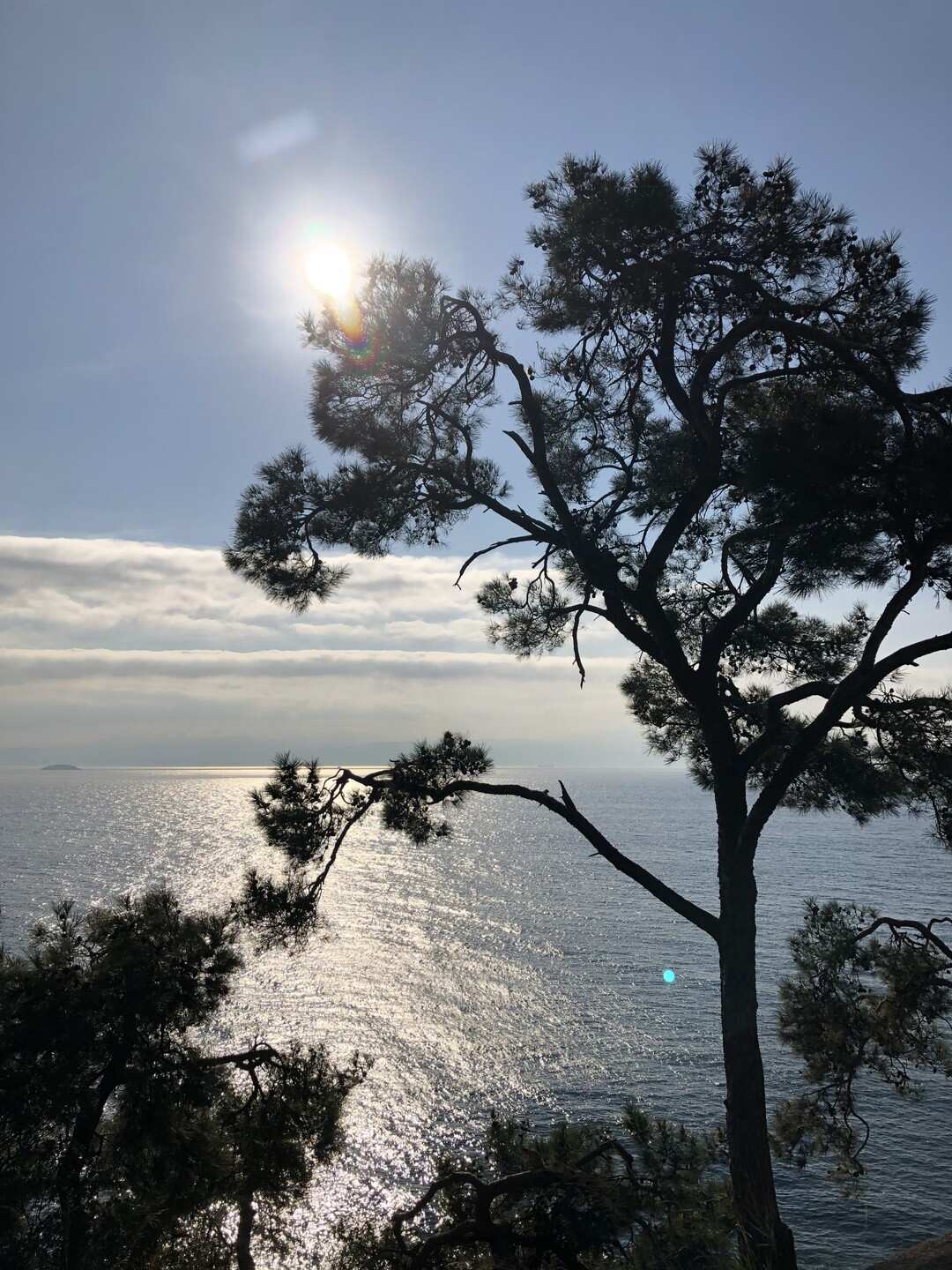 Самый зеленый из Принцевых островов — круглый год (9/11)