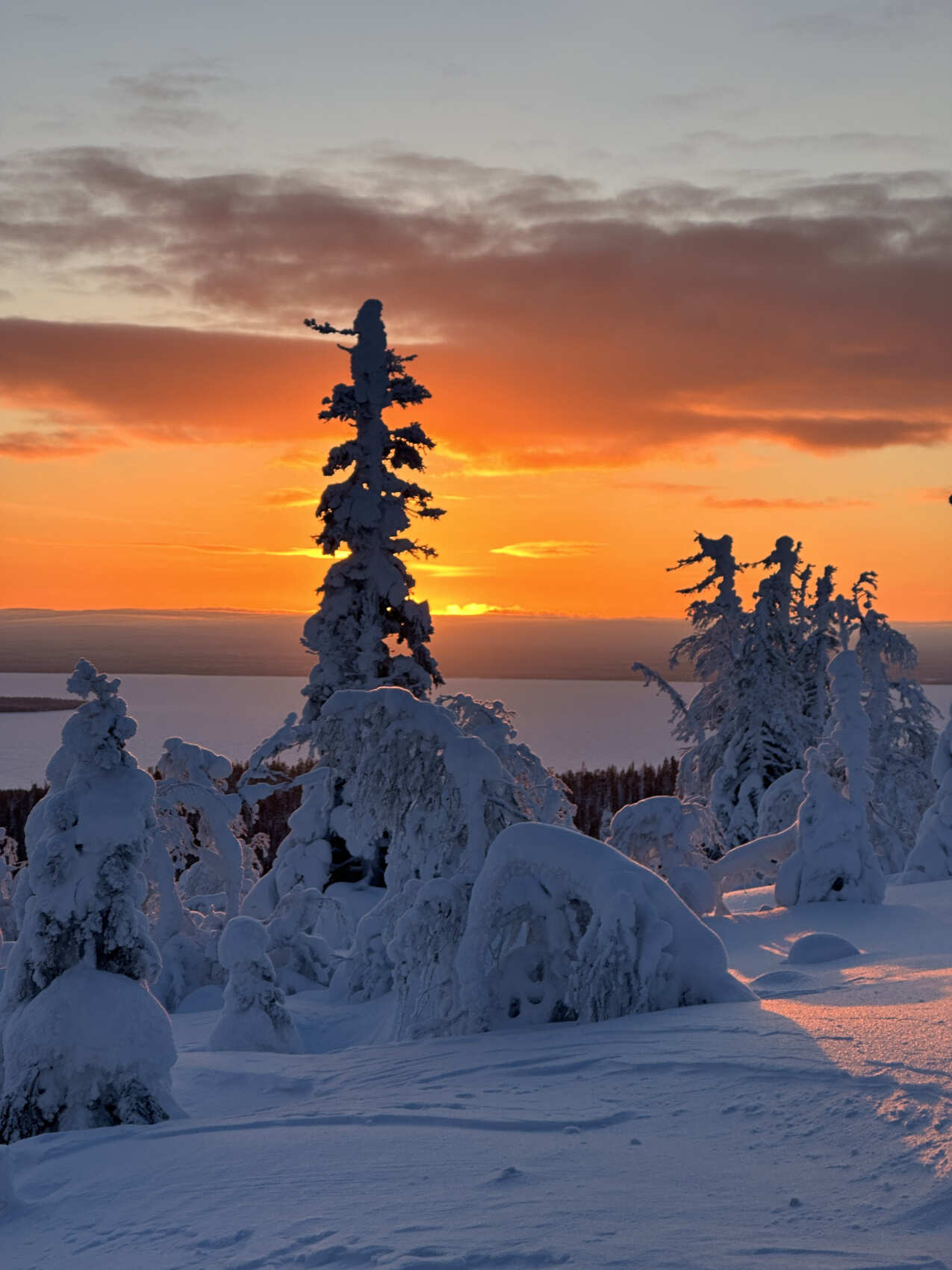 Поход в горы Хибины на снегоступах (10/16)