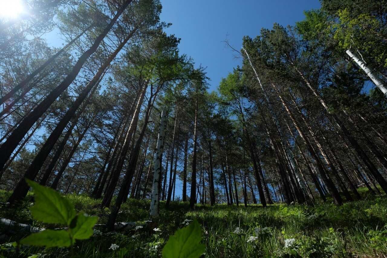 Путешествие к Сердцу Байкала от Буддийских Святынь до Ольхона:от Улан-Удэ до Иркутска (26/66)