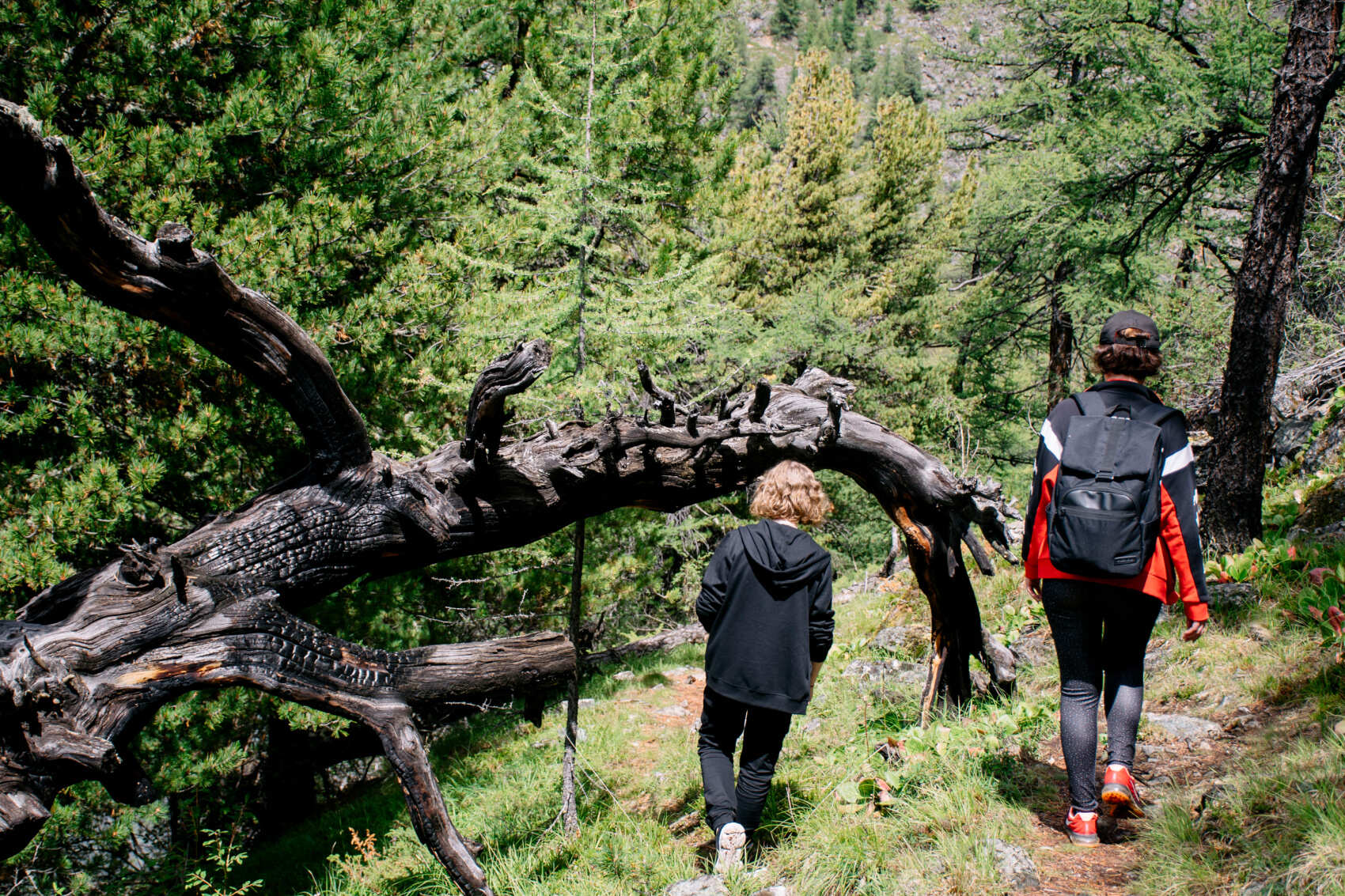 Актив-тур +: конные прогулки, сплав, трекинг, Чуйский тракт! (13/43)