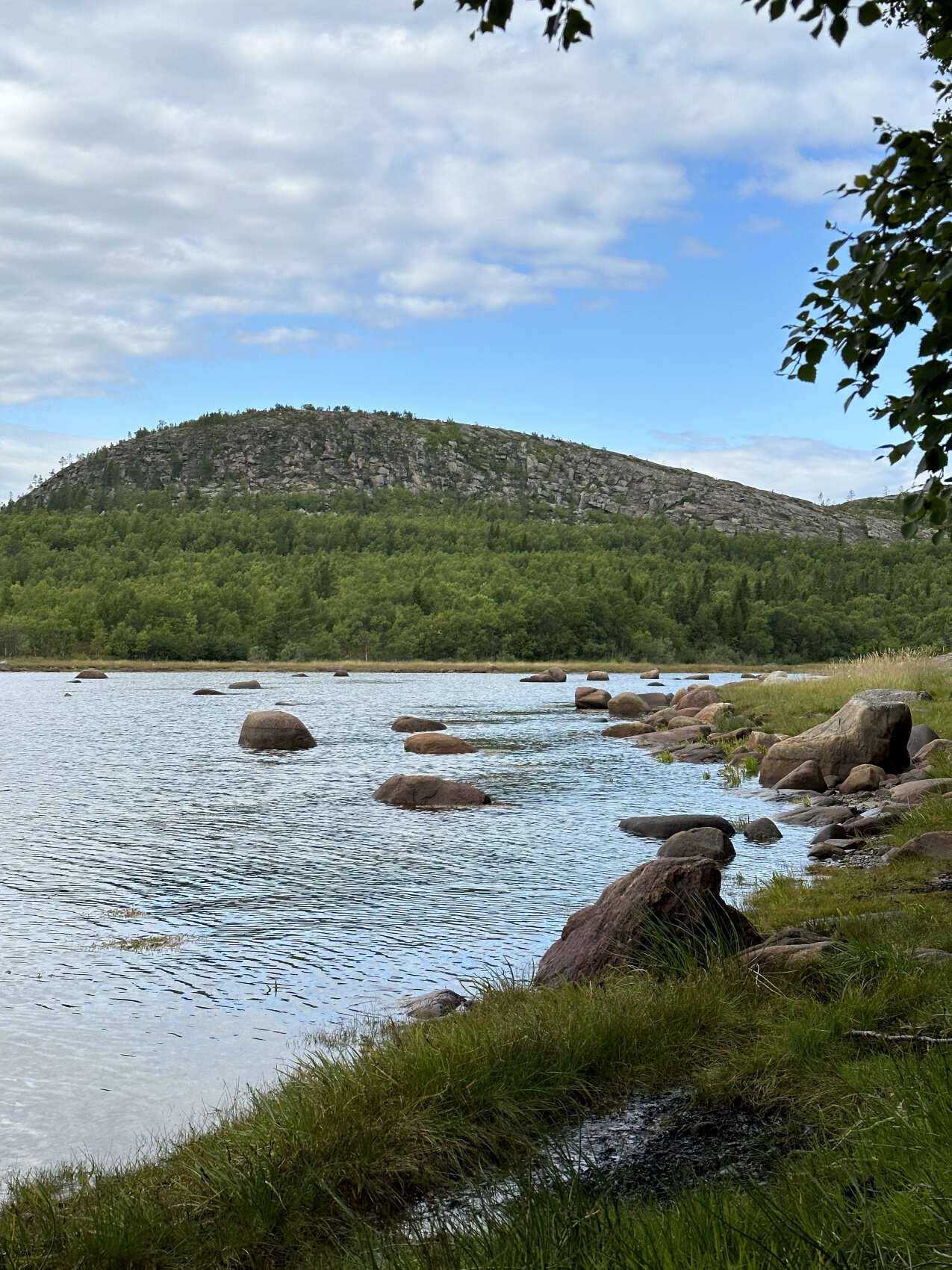 Тайны Белого моря. Архипелаг Кузова (21/39)