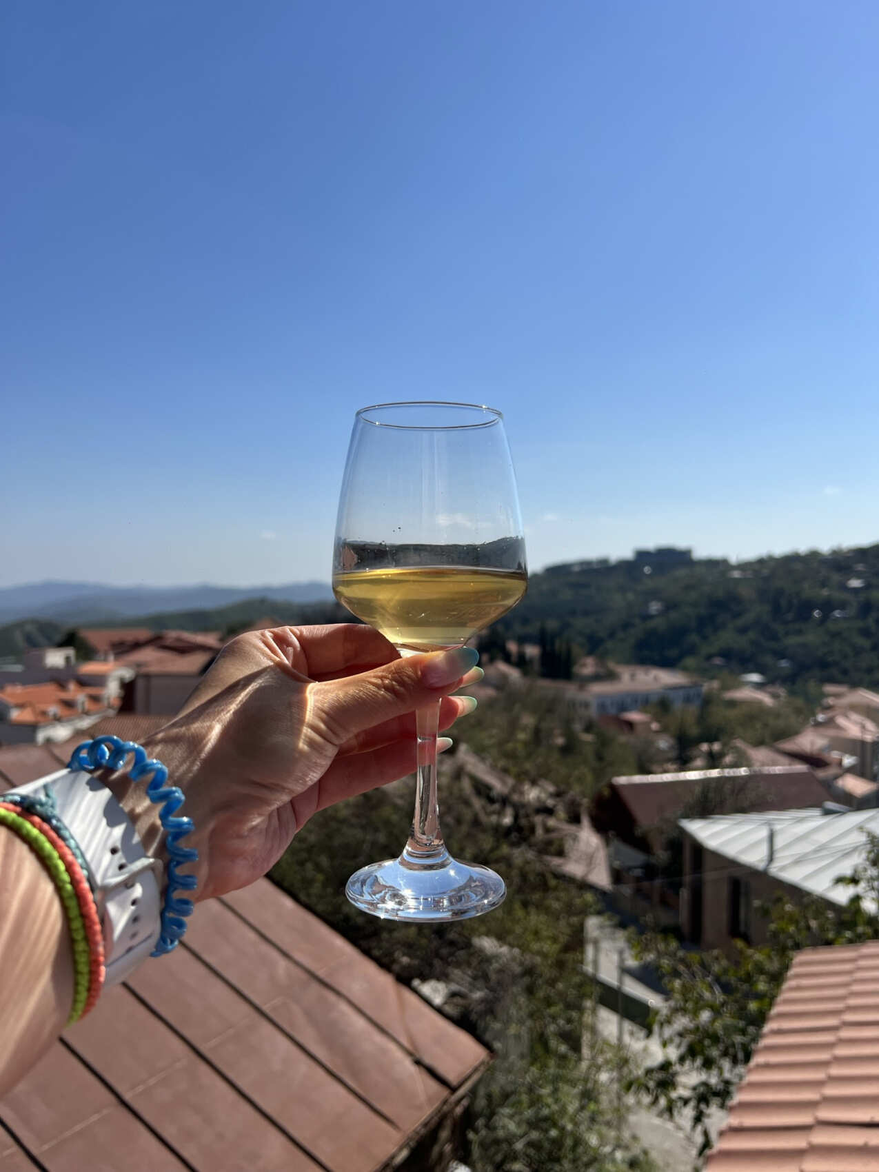 Индивидуальный Винный Тур  лучшие винодельни Кахетинской Грузии (5/13)