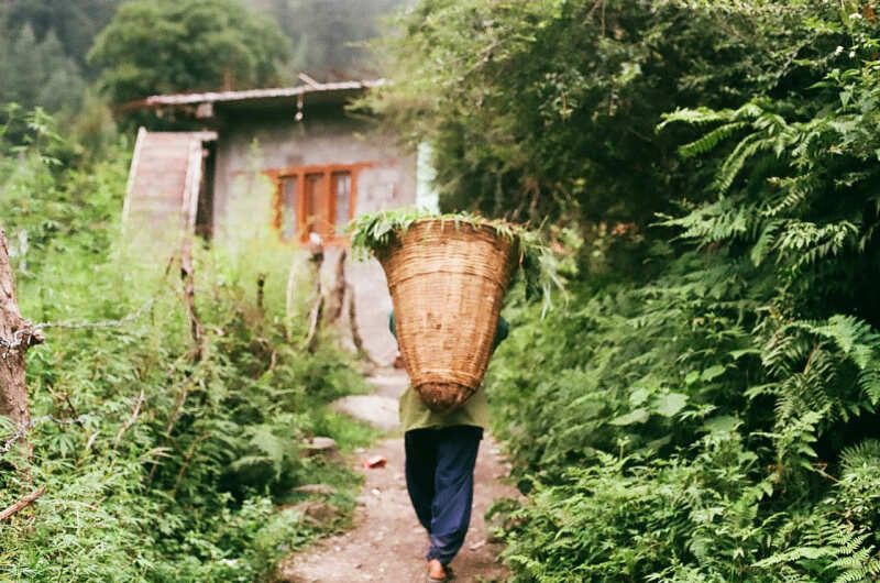 Индия: Долины Богов (4/92)