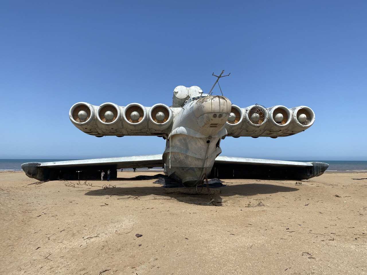 Самурский лес (8/8)