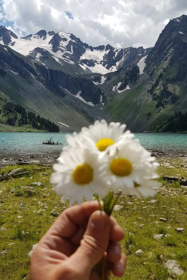  Усть-Кокса и Мультинские озера: горы и степи, старообрядцы и Рерих  (2/25)