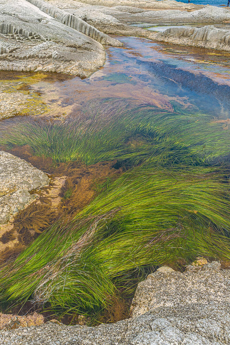Четыре вулкана Курильских островов. Путешествие на другую планету (48/186)