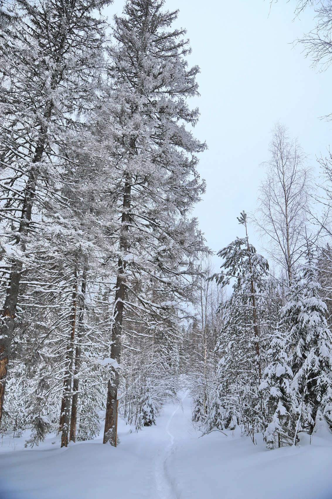 Лыжи и Спа. Однодневный выезд под Выборгом (8/16)