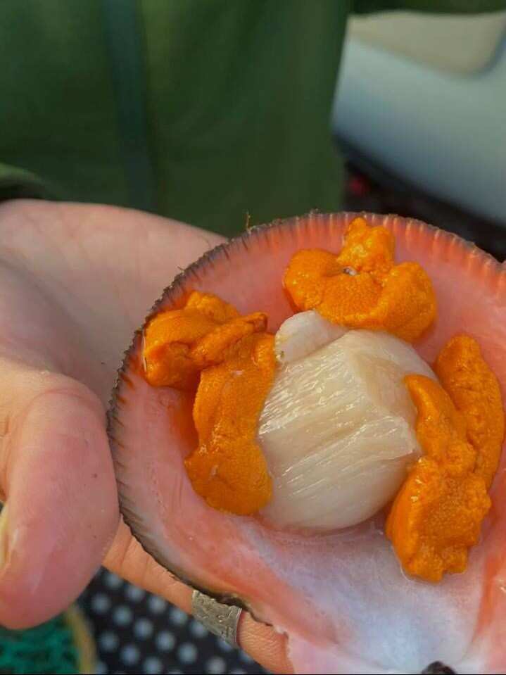 Рыбачий-Премиум 2.0: киты + джипинг + безлимит морепродуктов (по запросу, для готовых групп) (15/31)