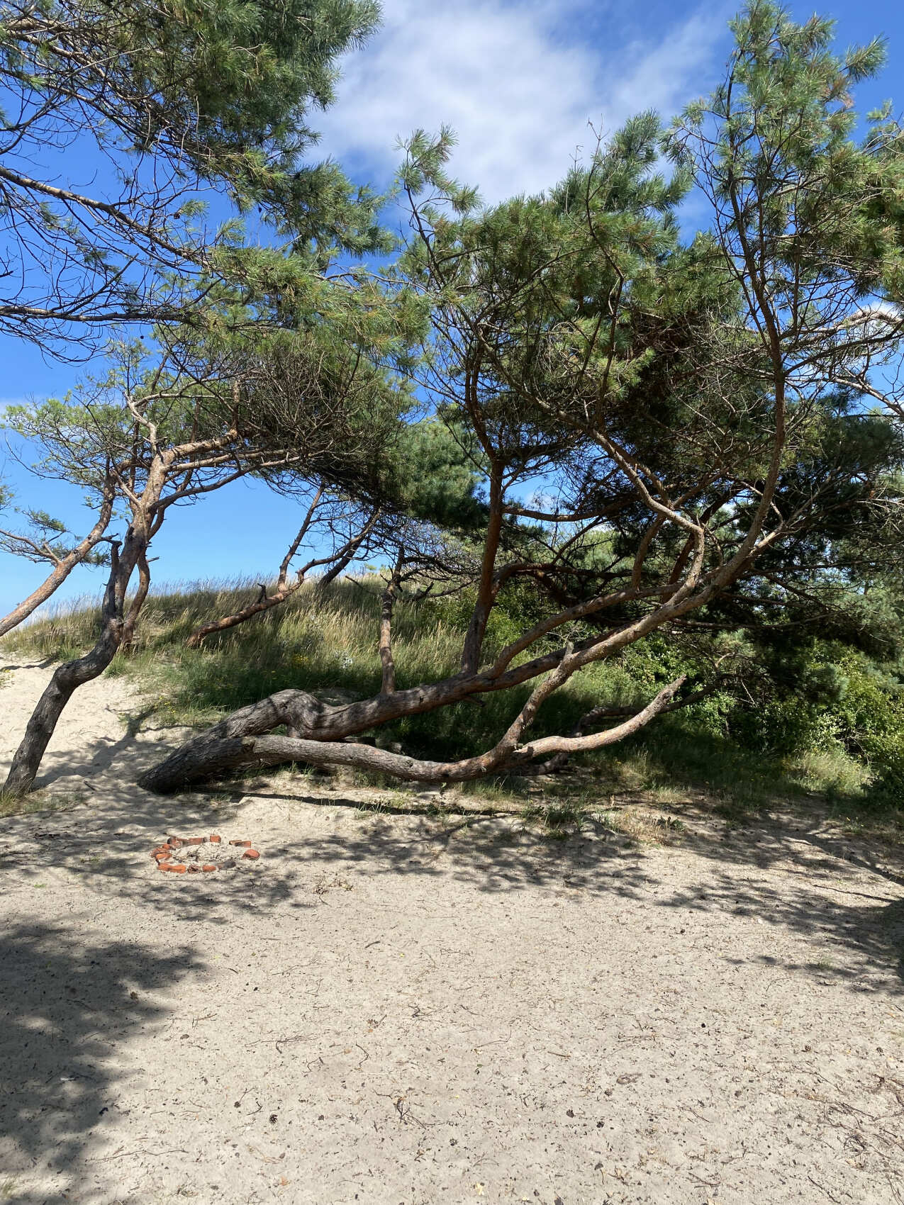 Тайны Пиллау и Дикий запад (8/22)