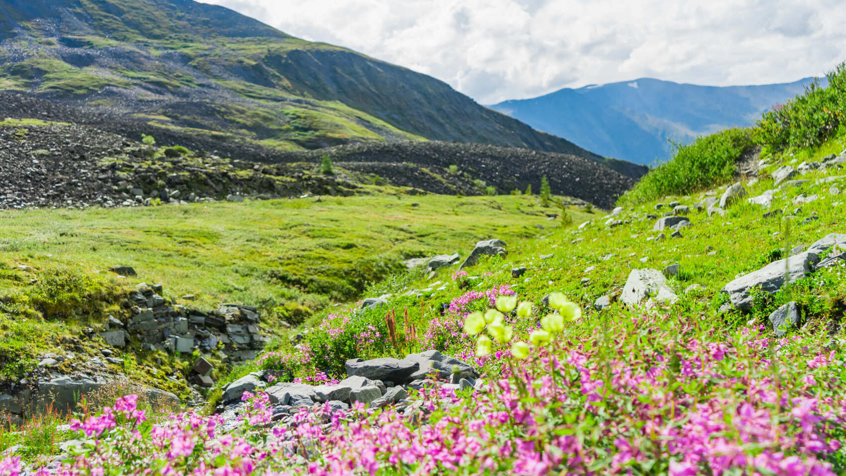 Треккинг к базовому лагерю Белухи (31/78)