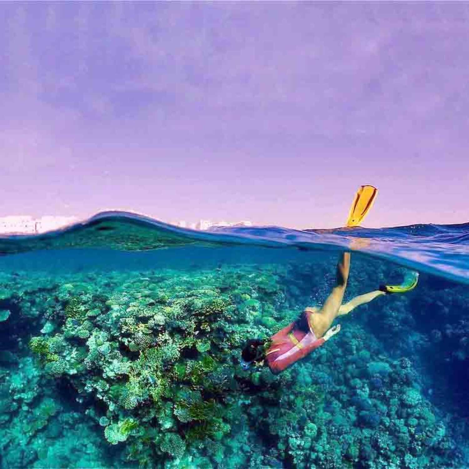 Индивидуальный тур в заповедник Рас-Мохаммед (с обедом из морепродукто (12/17)