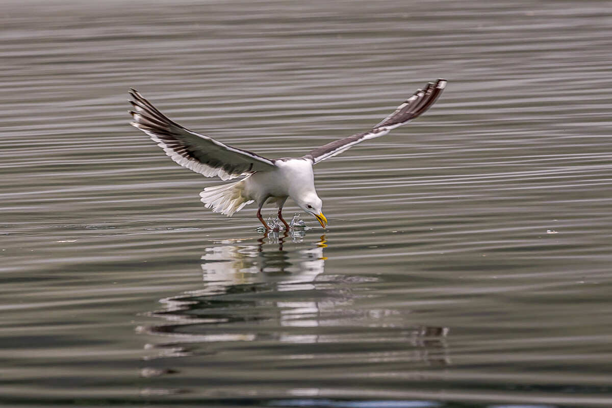 Интенсивный Итуруп. Путешествие на другую планету (7/117)