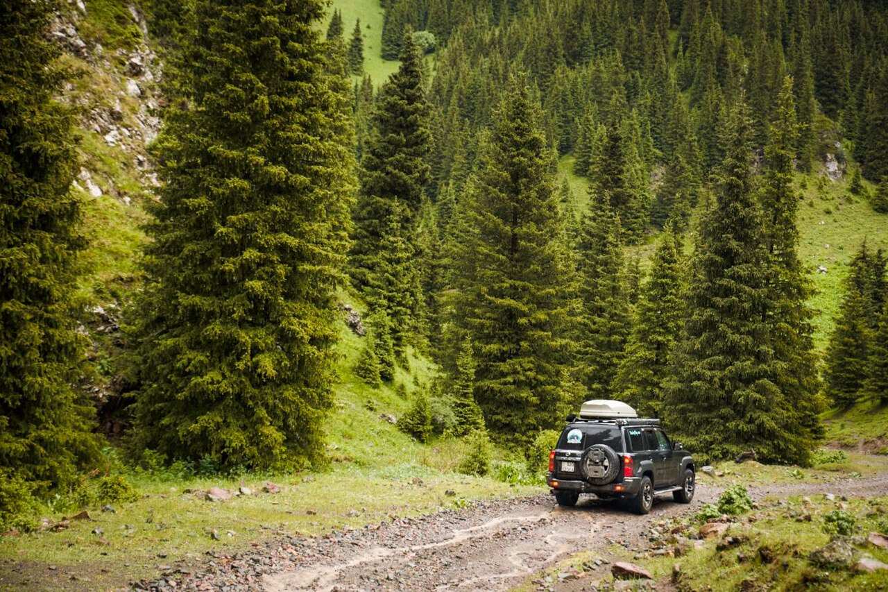 ВНЕ ПОПУЛЯРНЫХ МАРШРУТОВ (50/59)