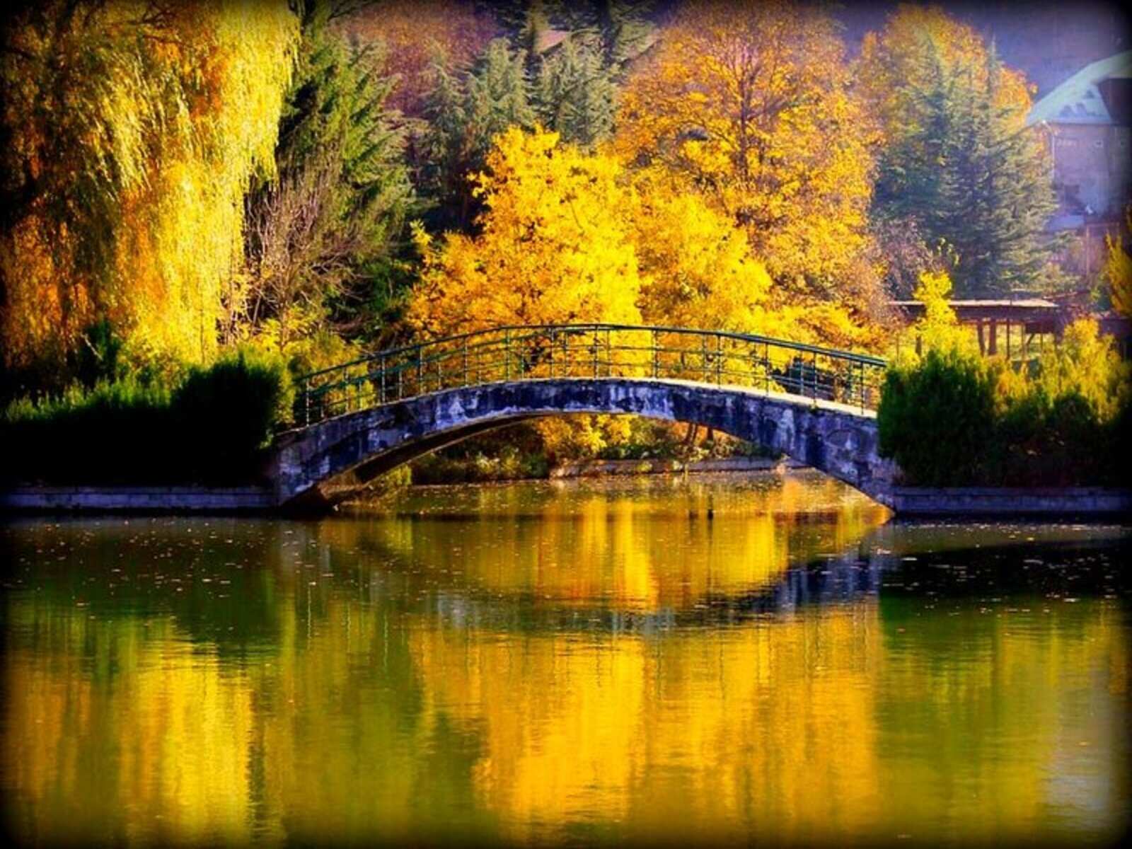 Путешествие в Зеленый Дилижан (1/8)