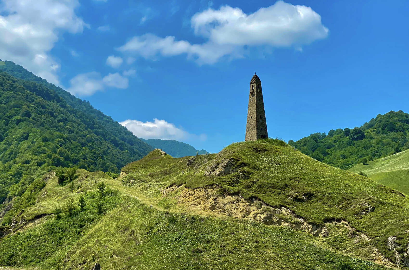 Цветение в Чечне. Сакура, магнолия, маки! (11/29)
