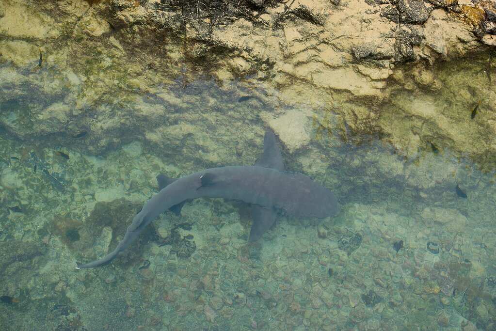 Основные моменты Галапагосских островов за 6 дней (5/7)