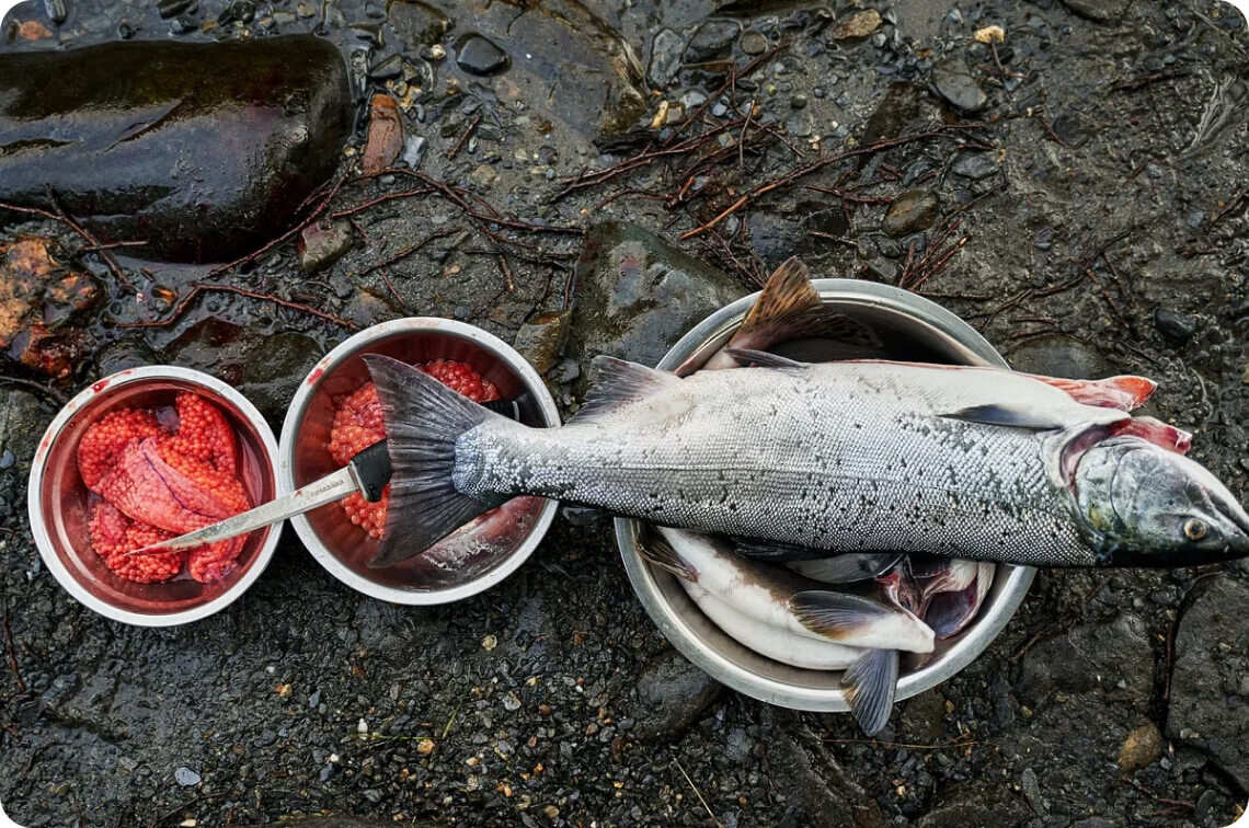 Все, что нужно увидеть на Камчатке в одном туре (6/26)